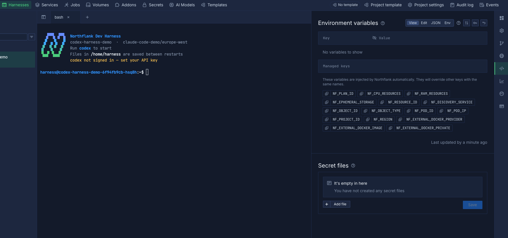 codex-environment.png