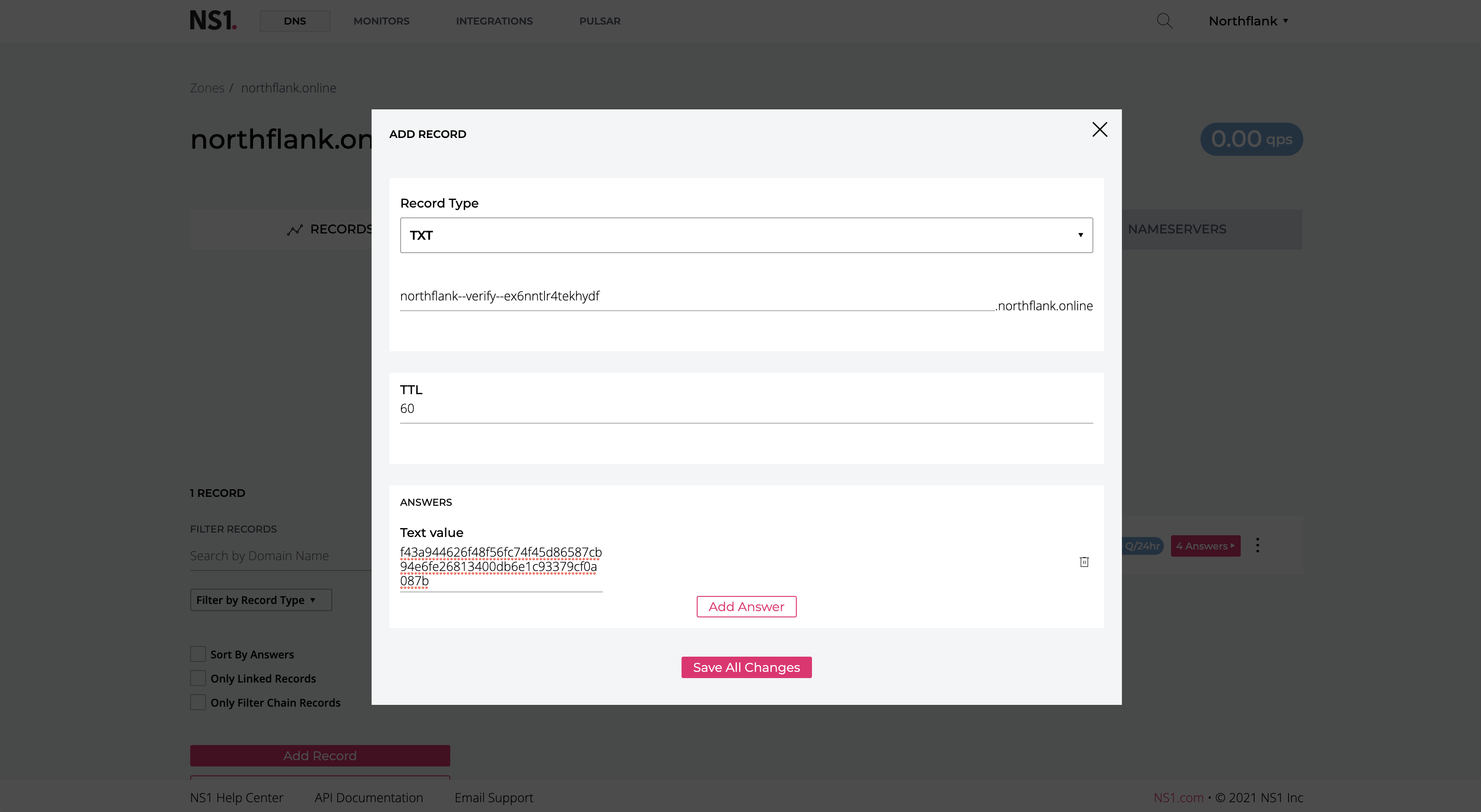 Adding a TXT record to verify a domain on NS1