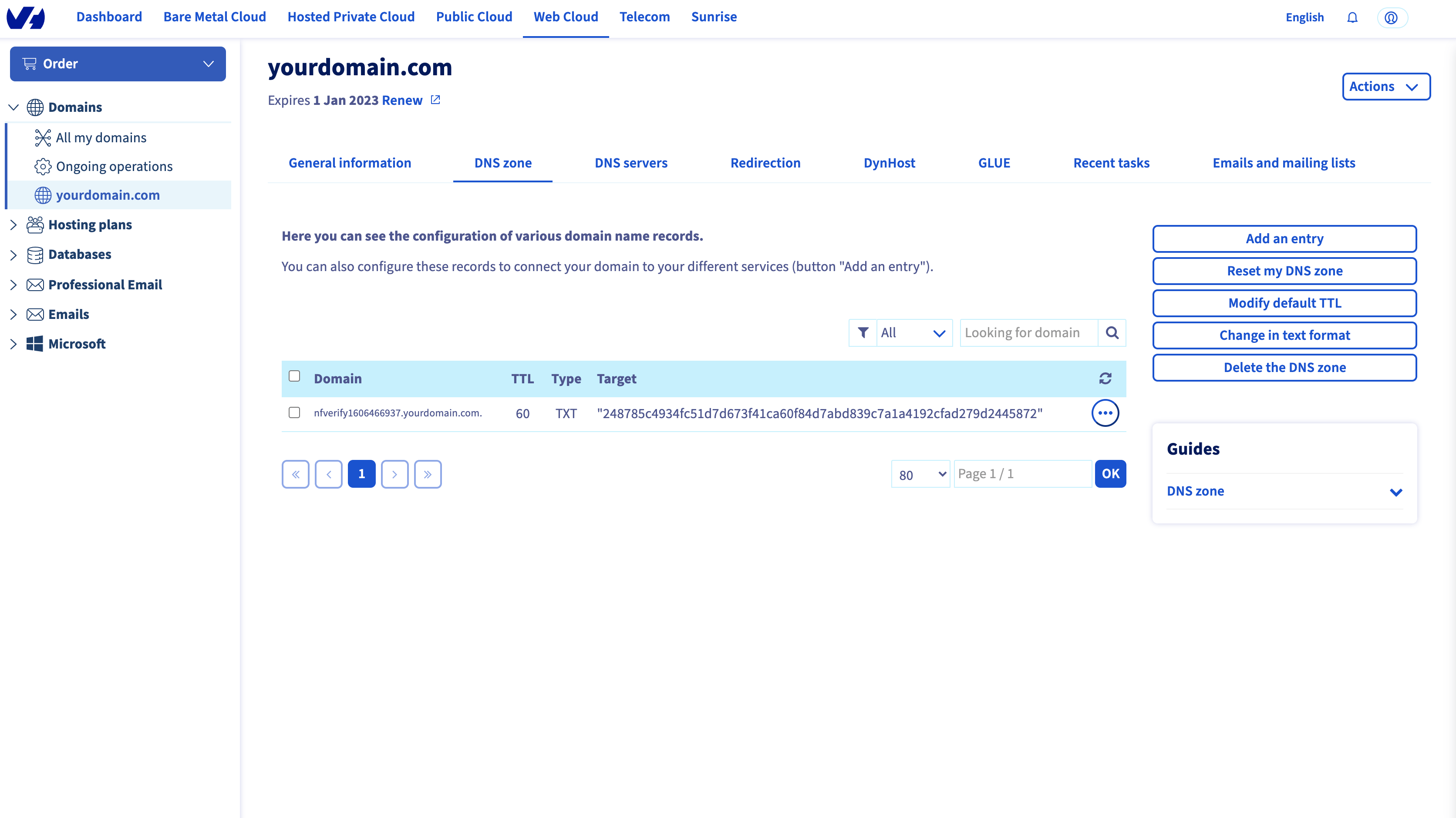 OVH Verify Domain on Northflank
