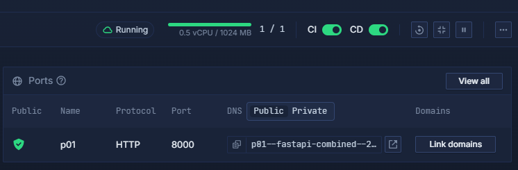 Viewing a public port and DNS in the Northflank application